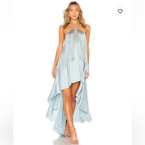 x Revolve generosity dress